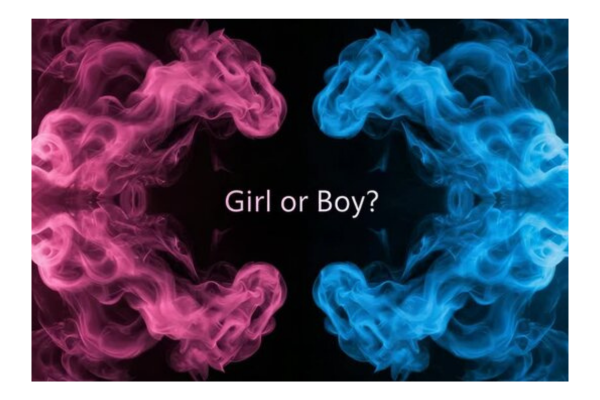  Gender Reveal :  With  Special Fog Colour  Theme 